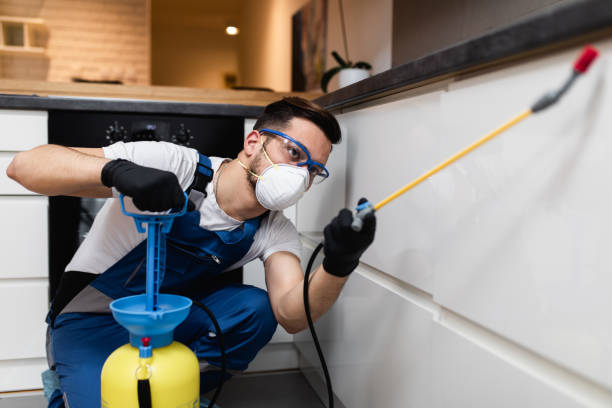 Best Affordable Exterminators  in Hesperia, CA