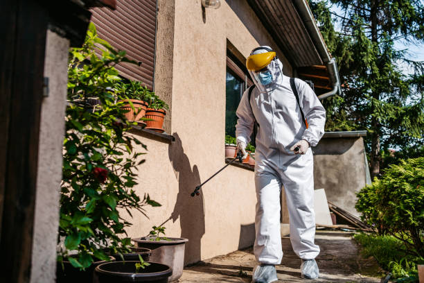 Best Termite Control Services  in Hesperia, CA