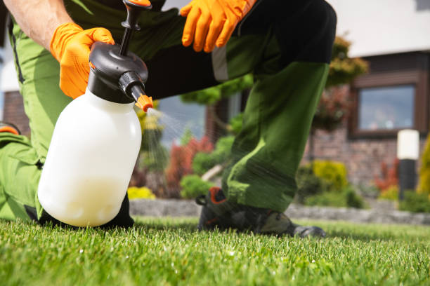 Best Cockroach Control Services  in Hesperia, CA