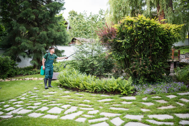 Best Best Pest Control Companies  in Hesperia, CA