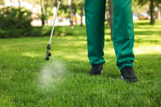 Best Bed Bug Extermination  in Hesperia, CA