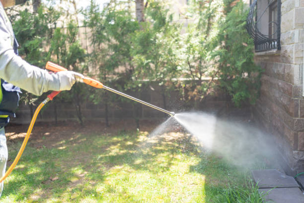 Best Pest Prevention Services  in Hesperia, CA