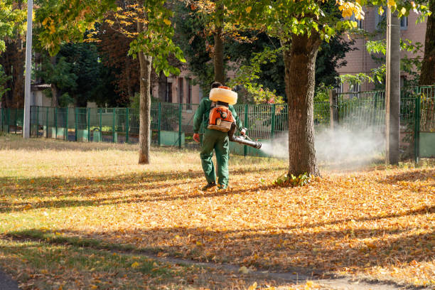 Best Local Pest Control Services  in Hesperia, CA