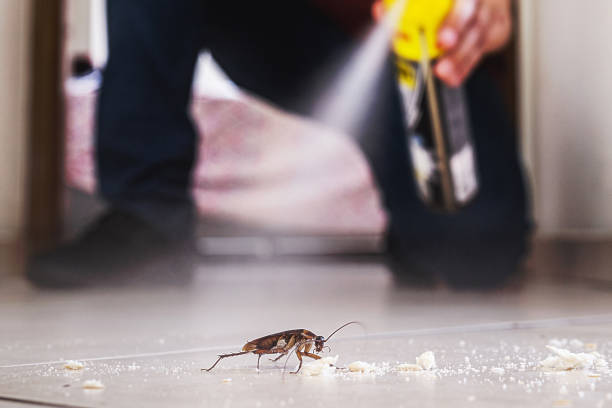 Trusted Hesperia, CA Pest Control Experts